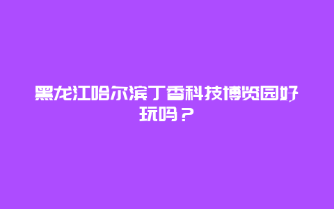 黑龙江哈尔滨丁香科技博览园好玩吗？