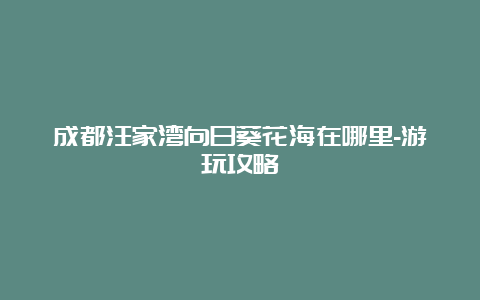 成都汪家湾向日葵花海在哪里-游玩攻略