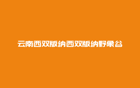 云南西双版纳西双版纳野象谷