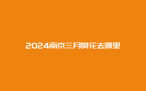 2024南京三月赏花去哪里