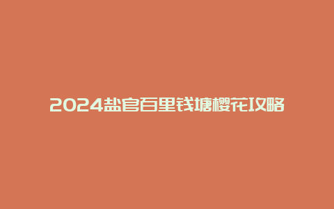 2024盐官百里钱塘樱花攻略