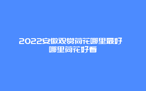 2022安徽观赏荷花哪里最好 哪里荷花好看