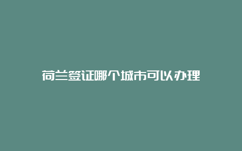 荷兰签证哪个城市可以办理