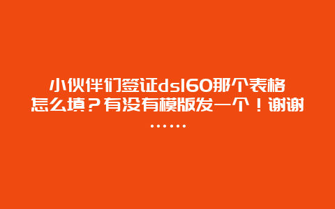 小伙伴们签证ds160那个表格怎么填？有没有模版发一个！谢谢……