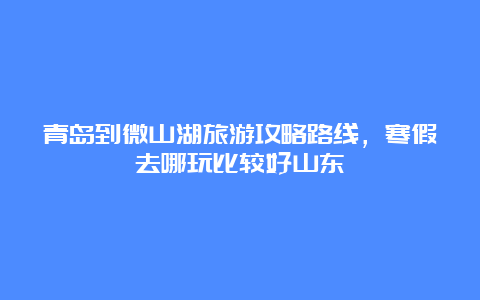 青岛到微山湖旅游攻略路线，寒假去哪玩比较好山东