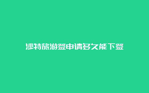 沙特旅游签申请多久能下签