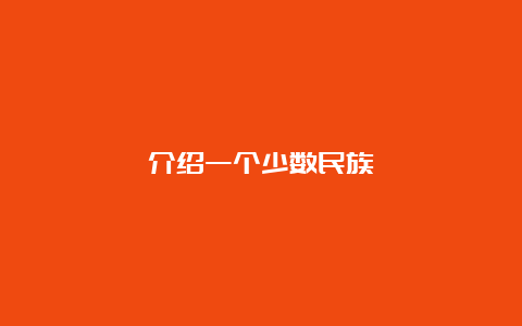 介绍一个少数民族