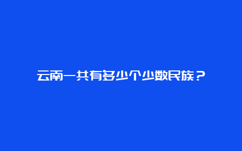 云南一共有多少个少数民族？