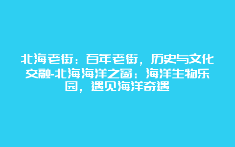 北海老街：百年老街，历史与文化交融-北海海洋之窗：海洋生物乐园，遇见海洋奇遇