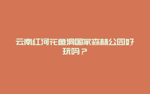 云南红河花鱼洞国家森林公园好玩吗？