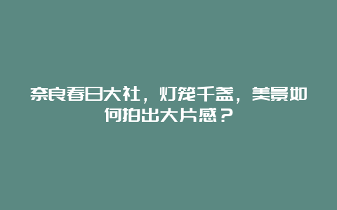 奈良春日大社，灯笼千盏，美景如何拍出大片感？