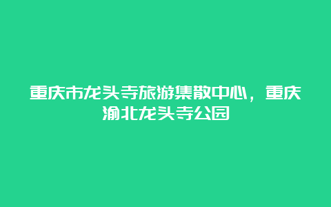 重庆市龙头寺旅游集散中心，重庆渝北龙头寺公园