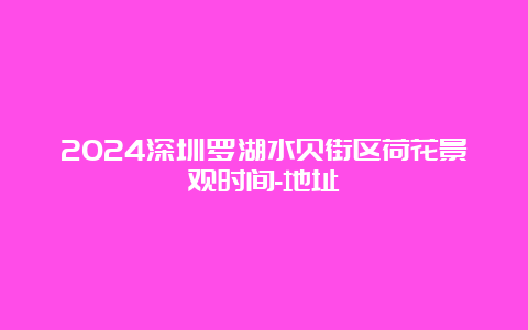 2024深圳罗湖水贝街区荷花景观时间-地址