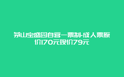 茅山宝盛园自营一票制-成人票原价170元现价79元