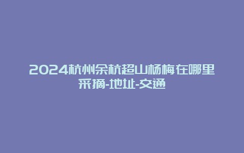 2024杭州余杭超山杨梅在哪里采摘-地址-交通