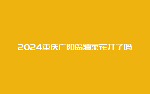 2024重庆广阳岛油菜花开了吗