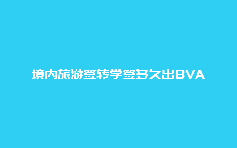 境内旅游签转学签多久出BVA