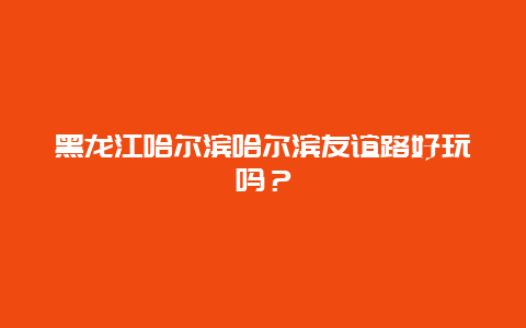 黑龙江哈尔滨哈尔滨友谊路好玩吗？