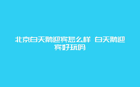 北京白天鹅迎宾怎么样 白天鹅迎宾好玩吗