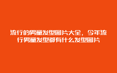 流行的男童发型图片大全，今年流行男童发型都有什么发型图片