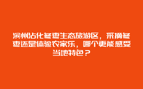 滨州沾化冬枣生态旅游区，采摘冬枣还是体验农家乐，哪个更能感受当地特色？