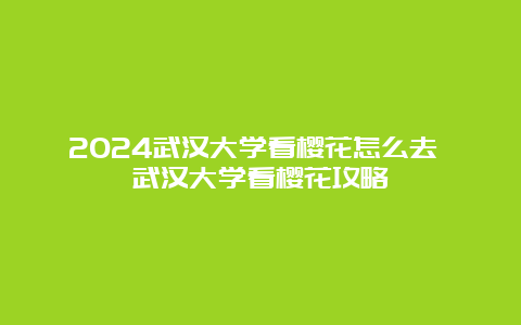 2024武汉大学看樱花怎么去 武汉大学看樱花攻略