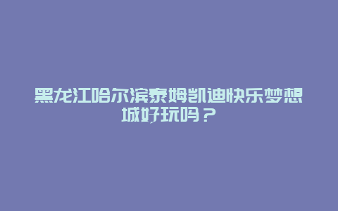 黑龙江哈尔滨泰姆凯迪快乐梦想城好玩吗？