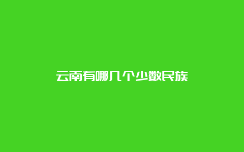 云南有哪几个少数民族