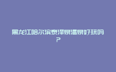 黑龙江哈尔滨泰泽泉温泉好玩吗？