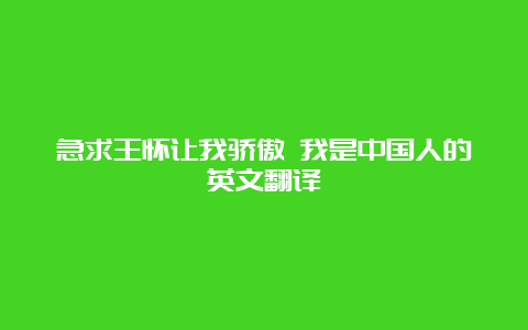 急求王怀让我骄傲 我是中国人的英文翻译