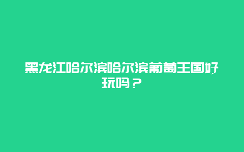 黑龙江哈尔滨哈尔滨葡萄王国好玩吗？