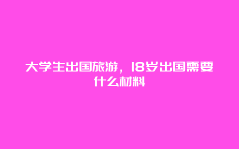 大学生出国旅游，18岁出国需要什么材料