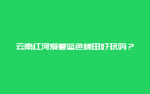 云南红河爱春蓝色梯田好玩吗？