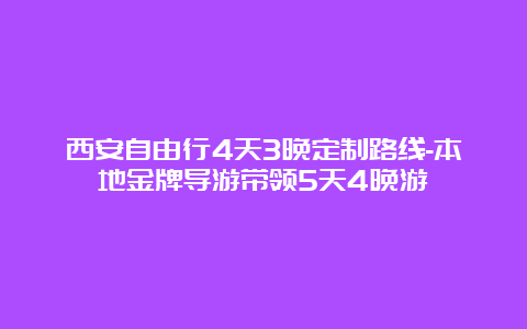 西安自由行4天3晚定制路线-本地金牌导游带领5天4晚游