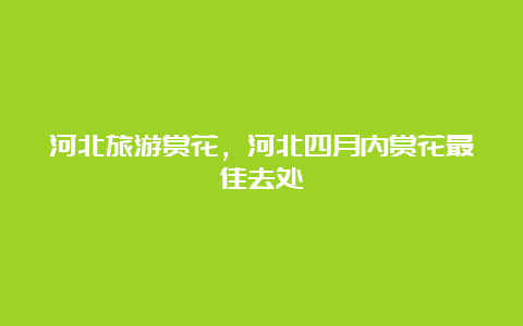 河北旅游赏花，河北四月内赏花最佳去处