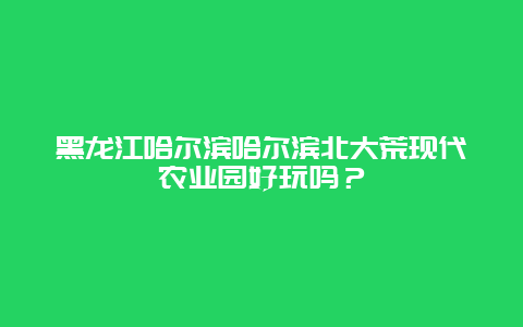 黑龙江哈尔滨哈尔滨北大荒现代农业园好玩吗？