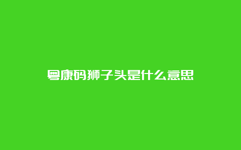 粤康码狮子头是什么意思