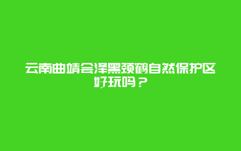 云南曲靖会泽黑颈鹤自然保护区好玩吗？