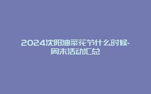 2024沈阳油菜花节什么时候-周末活动汇总