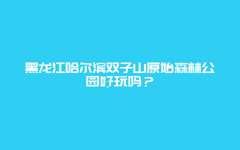 黑龙江哈尔滨双子山原始森林公园好玩吗？