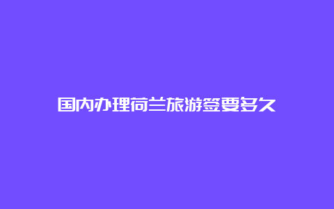 国内办理荷兰旅游签要多久