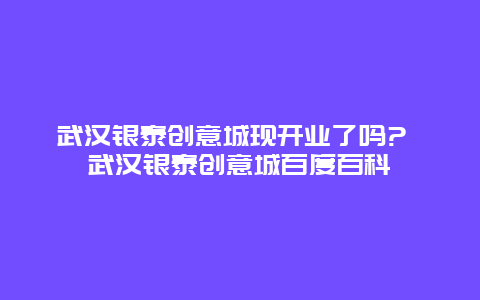 武汉银泰创意城现开业了吗? 武汉银泰创意城百度百科