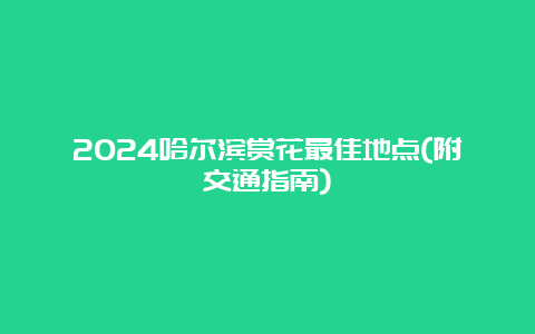 2024哈尔滨赏花最佳地点(附交通指南)