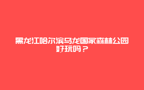 黑龙江哈尔滨乌龙国家森林公园好玩吗？