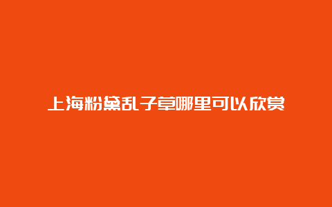 上海粉黛乱子草哪里可以欣赏