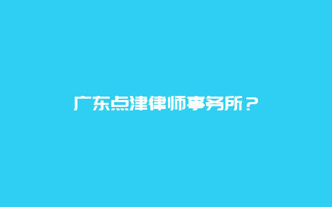 广东点津律师事务所？