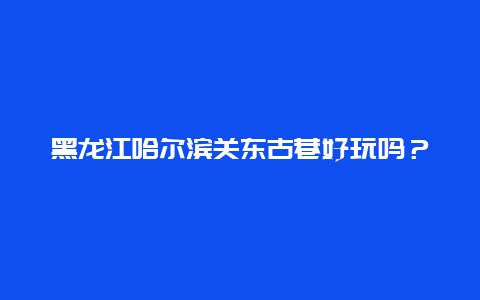 黑龙江哈尔滨关东古巷好玩吗？