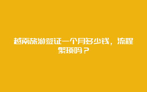 越南旅游签证一个月多少钱，流程繁琐吗？