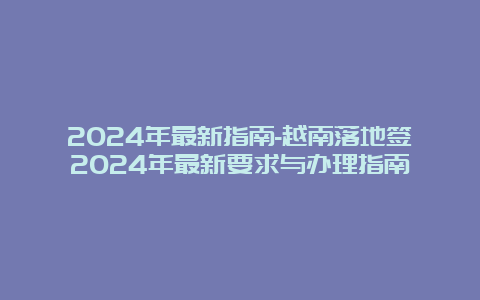 2024年最新指南-越南落地签2024年最新要求与办理指南