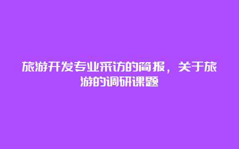 旅游开发专业采访的简报，关于旅游的调研课题